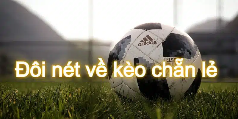 Kèo Chẵn Lẻ Là Gì? Những Loại Kèo Cược Chẵn Lẻ Phổ Biến Khái niệm về kèo chẵn lẻ là gì