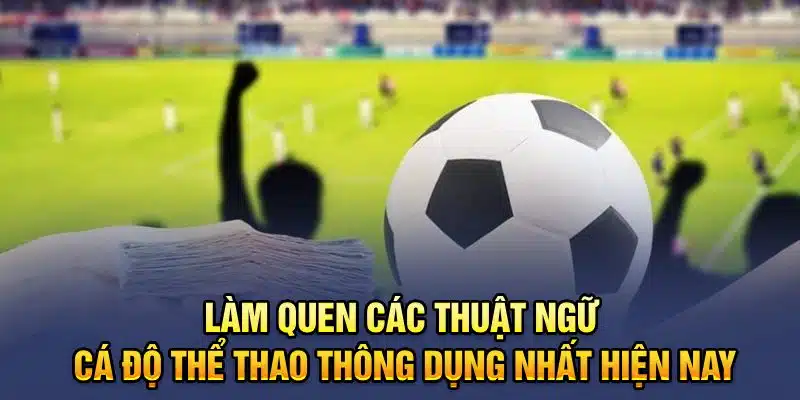 Làm Quen Các Thuật Ngữ Cá Độ Thể Thao Thông Dụng Nhất Hiện Nay Làm quen các thuật ngữ cá độ thể thao thông dụng nhất hiện nay