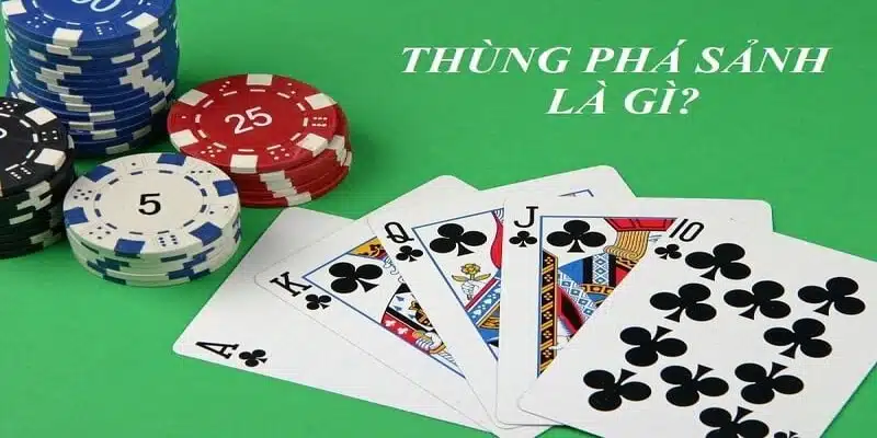 Thùng Phá Sảnh Và Những Thông Tin Quan Trọng Cần Biết Tìm hiểu về thuật ngữ thùng phá sảnh